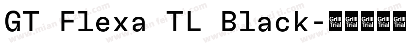 GT Flexa TL Black字体转换